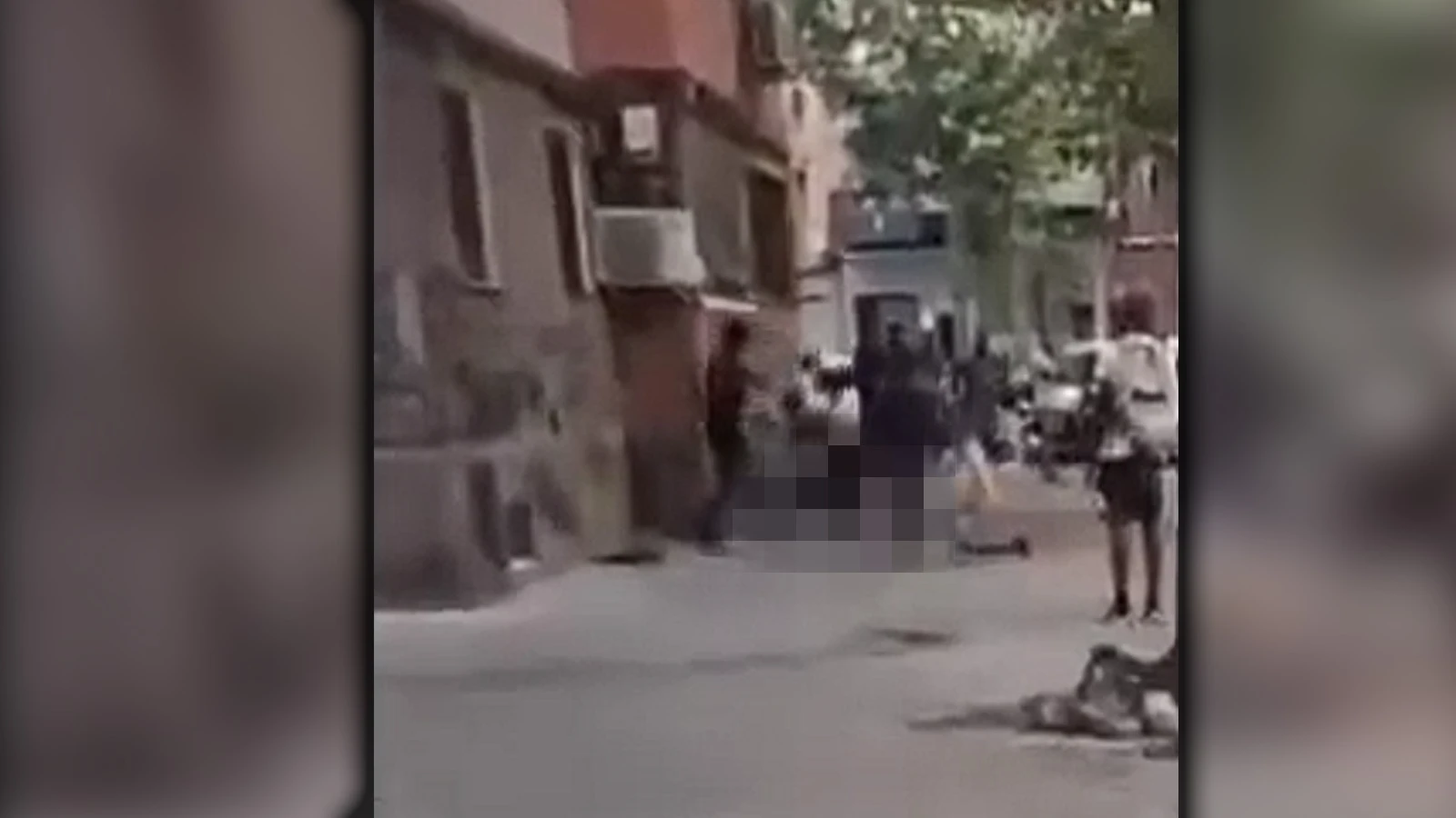 Vídeo: hombres regulados por el Gobierno patean sin piedad a perro indefenso en Badalona