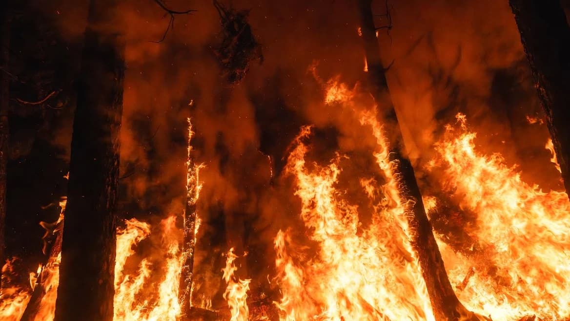 Incendios: No hay suficientes muertos para que el gobierno ponga una autoridad central