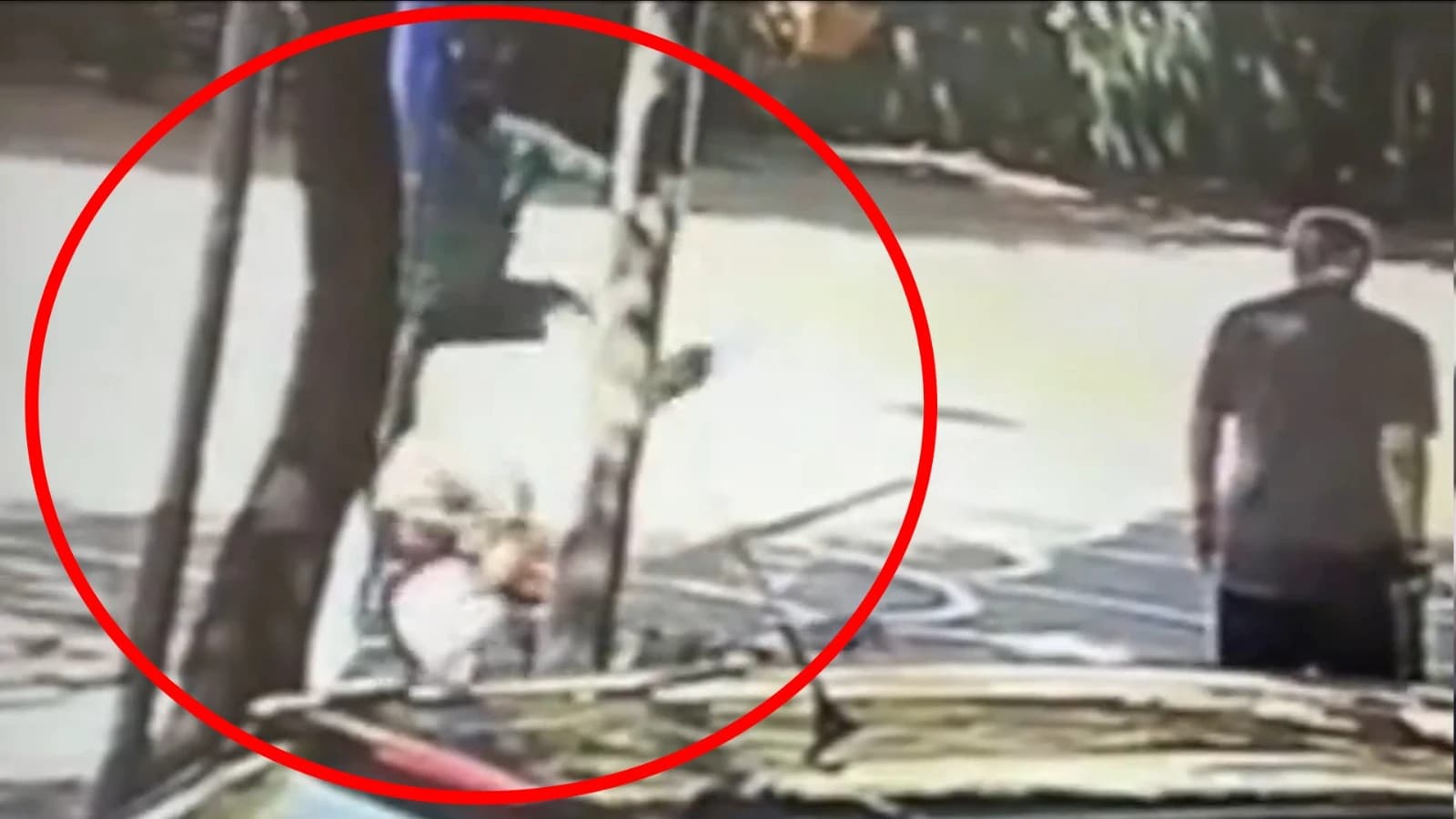 Vídeo del asesinato de Guido: inmigrante lo mató a golpes y murió tras días de agonía