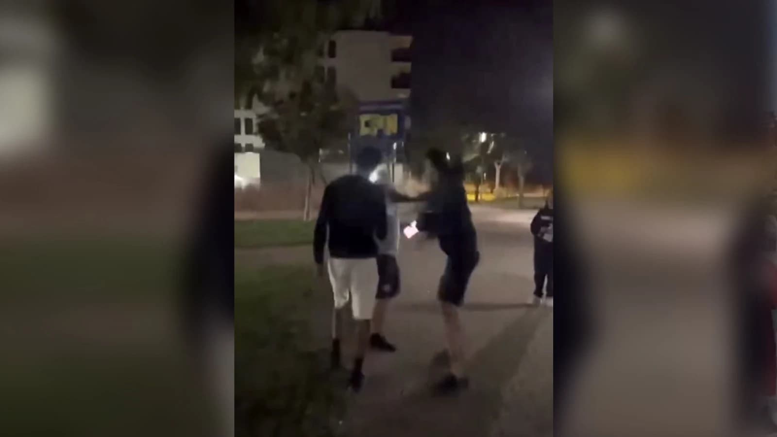 Vídeo: violenta agresión en Salburua por un magrebí a un vecino que paseaba a su perro