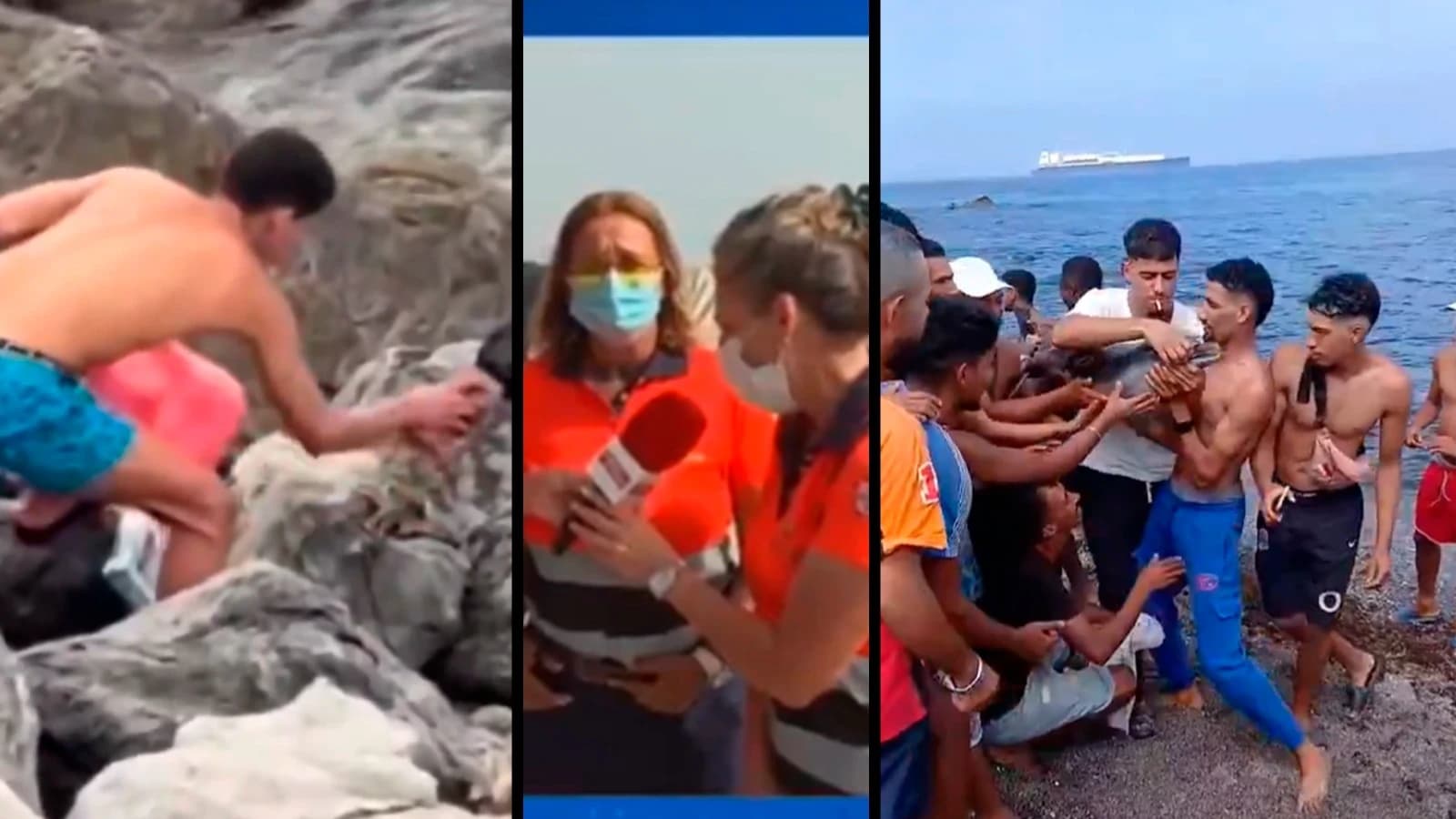 Vídeos Ceuta: descuartizan gatos por diversión, golpean pulpos, matan delfines