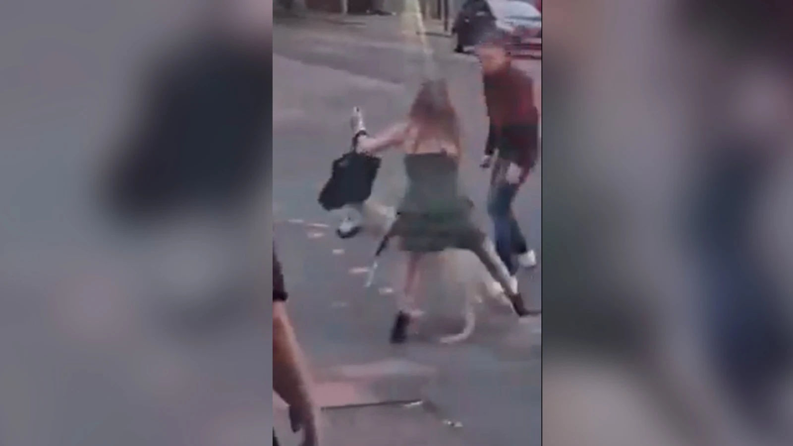 Vídeo: inmigrante apuñala a un perro en Reino Unido al defender a su dueña de una agresión
