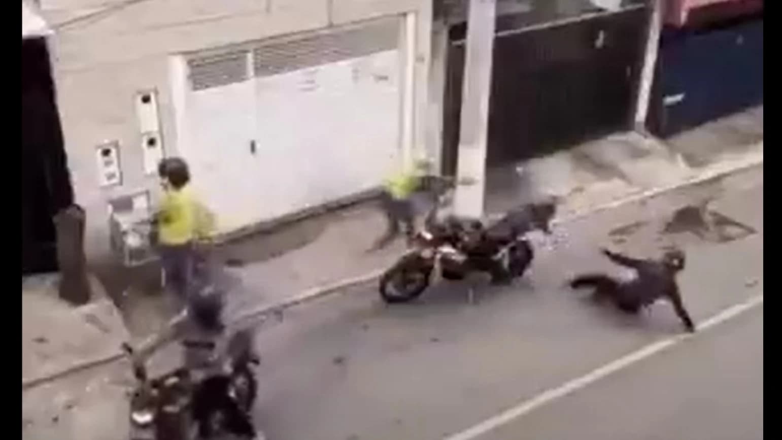 Vídeo del ataque a un matrimonio en moto: ella dispara y la reacción de él es de película