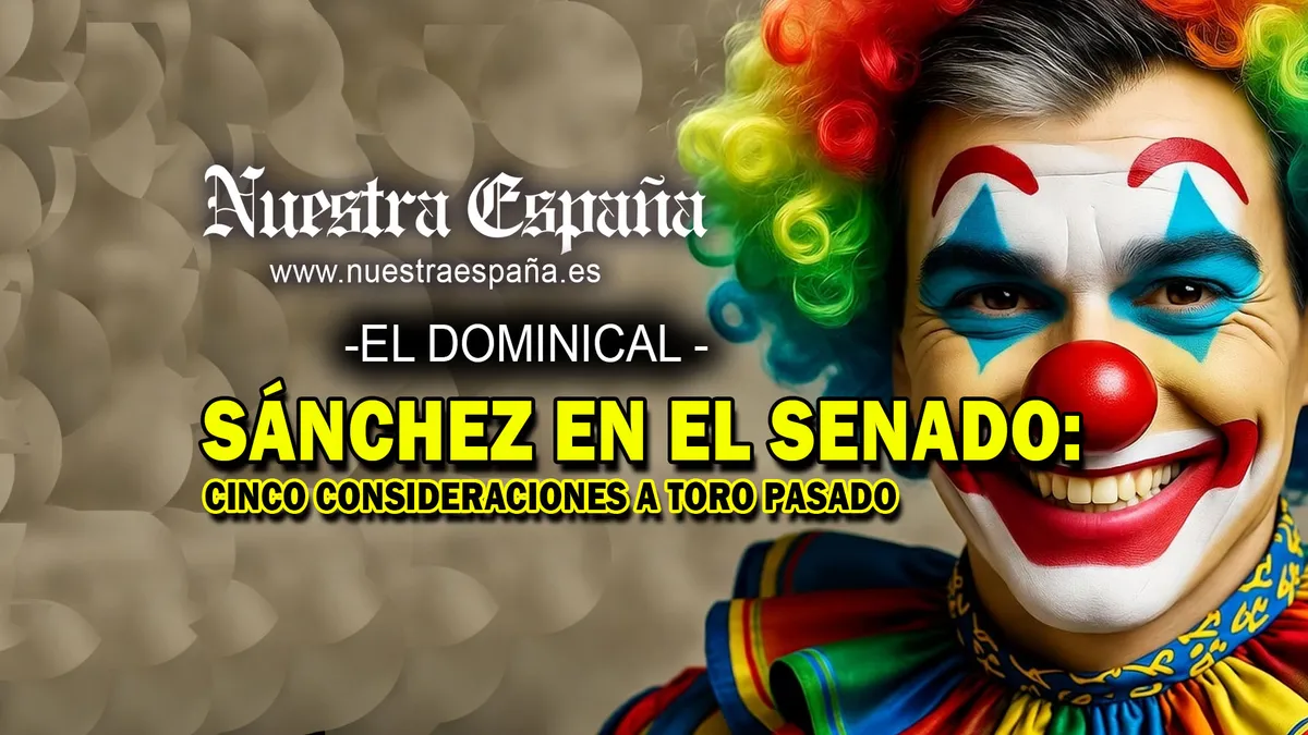 SÁNCHEZ EN EL SENADO: CINCO CONSIDERACIONES A TORO PASADO