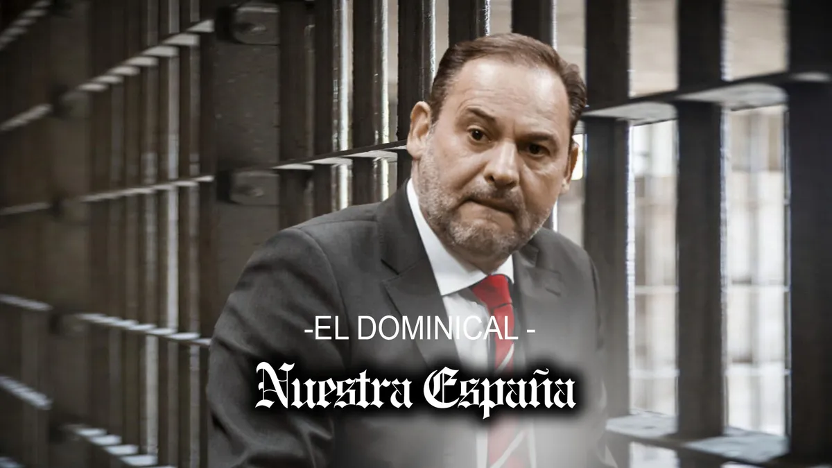 LA CAÍDA DE DON JOSÉ LUIS ÁBALOS MECO