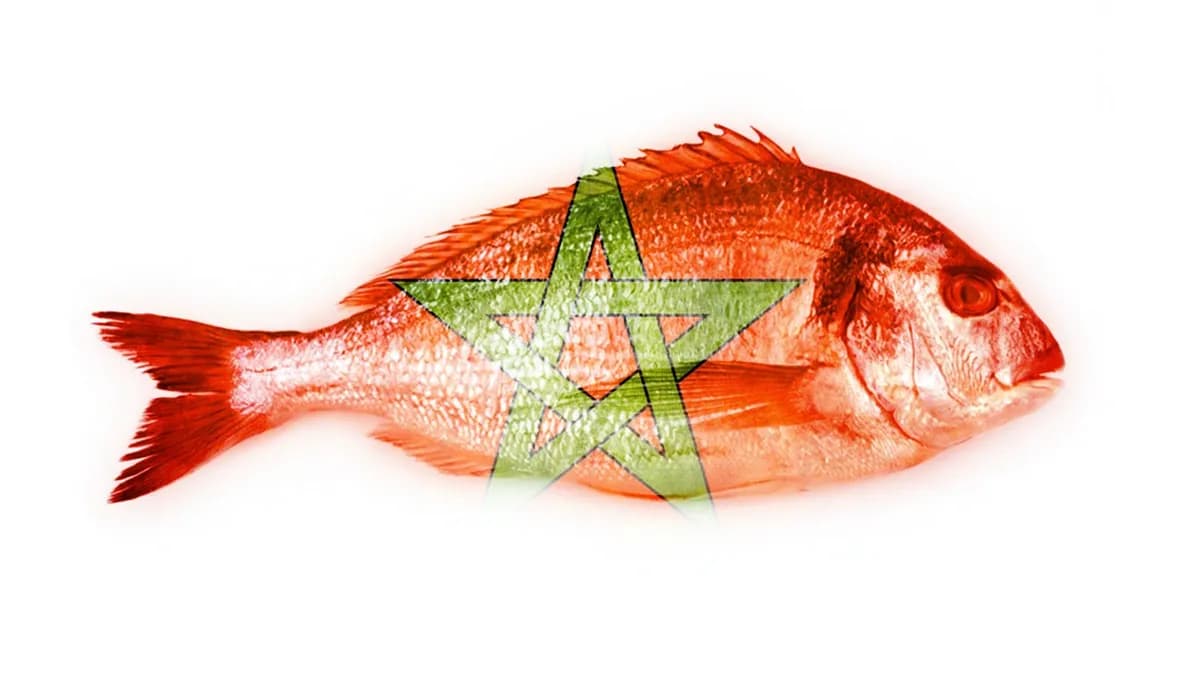 Marruecos nos envía pescado tóxico y Sánchez calla