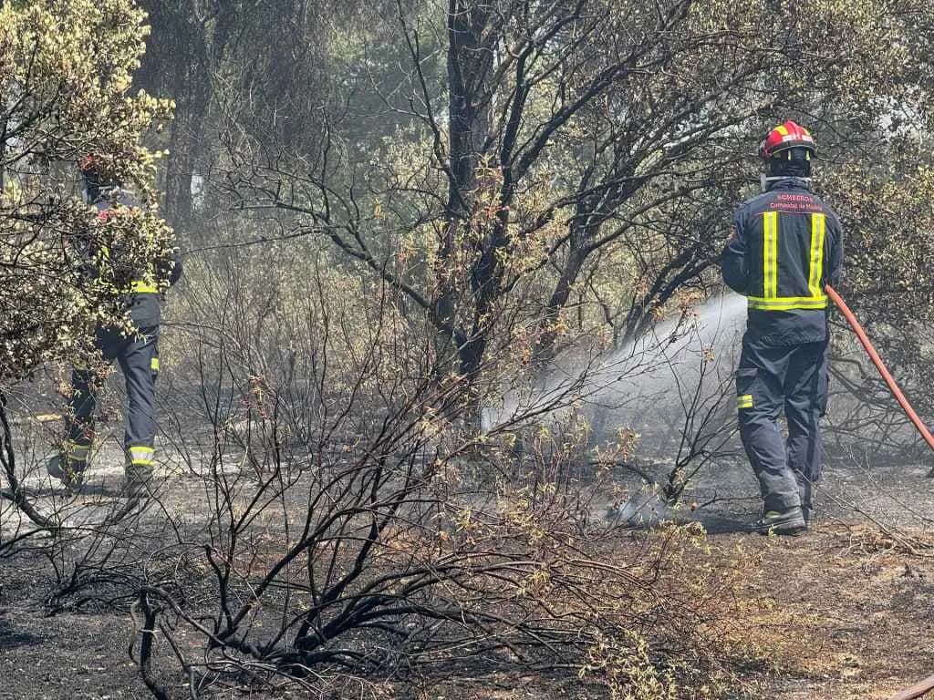 Madrid: Seis municipios declarados "zona catastrófica" por incendios forestales