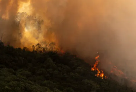Orense sufre el peor incendio del verano: 700 hectáreas calcinadas y un bombero herido